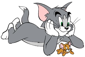 best short term courses after graduation