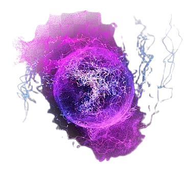 best short term courses